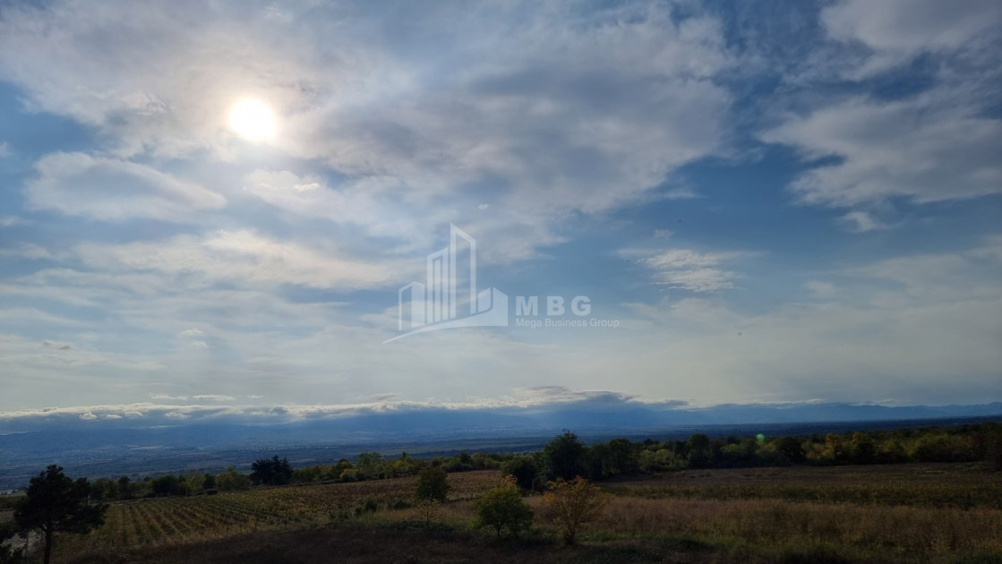For Sale Land Eniseli Kvareli Kakheti