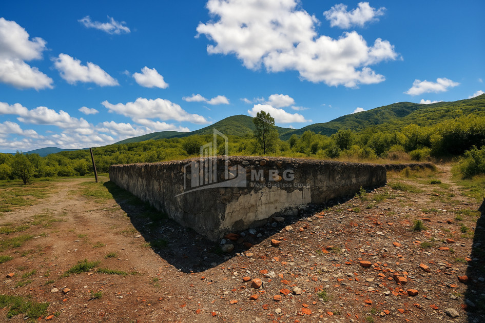 იყიდება მიწის ნაკვეთი სიღნაღი კახეთი