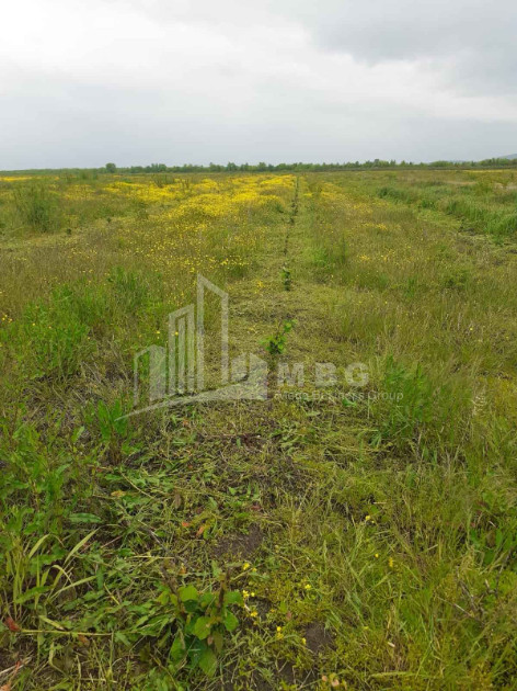 იყიდება მიწის ნაკვეთი სენაკი სამეგრელო   ზემო სვანეთი