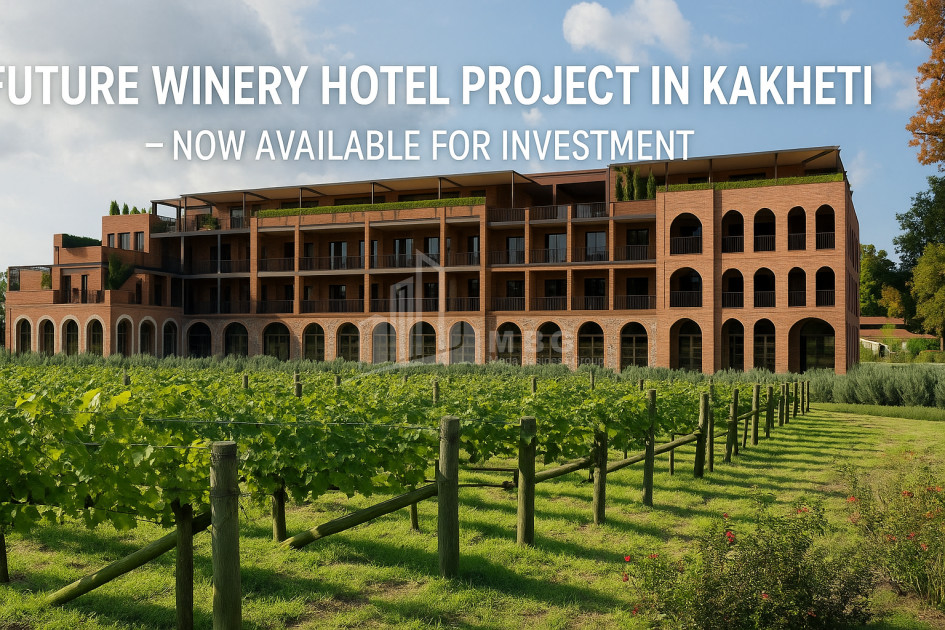 Продается Коммерческий Хашми Сагареджо Кахети