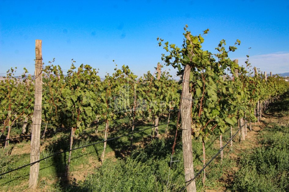 იყიდება კომერციული ფართი დოესი კასპი შიდა ქართლი