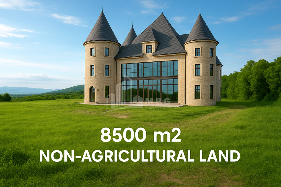 იყიდება მიწის ნაკვეთი სიღნაღი კახეთი