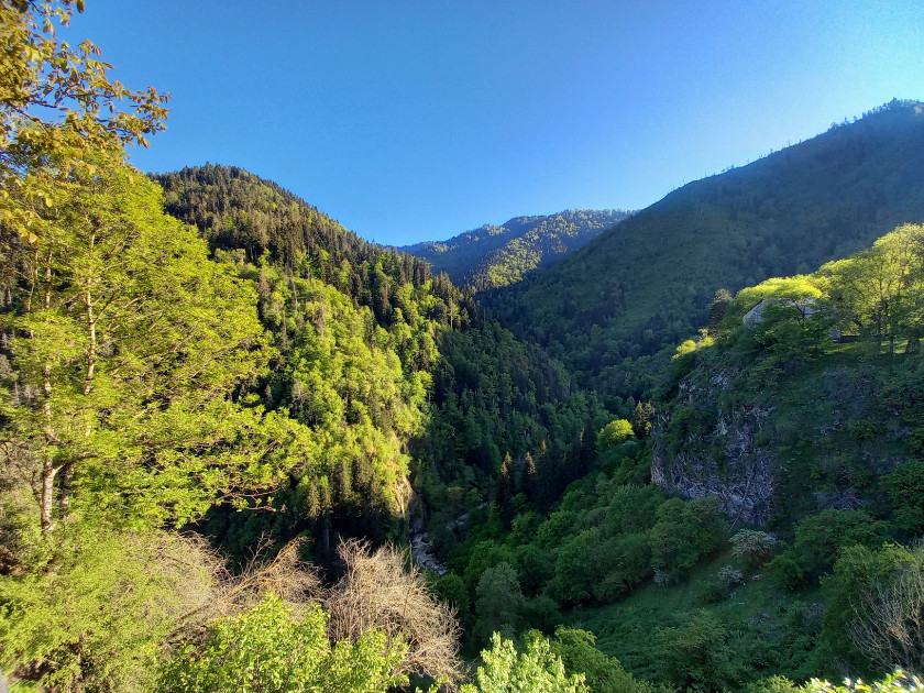 Продается Коммерческий Садгери Боржоми Самцхе   Джавахети