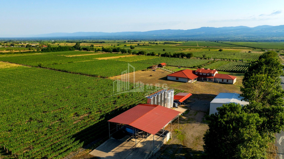 For Sale Commercial Shilda Kvareli Kakheti