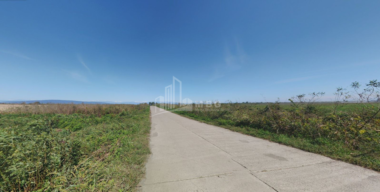 იყიდება მიწის ნაკვეთი სენაკი სამეგრელო   ზემო სვანეთი