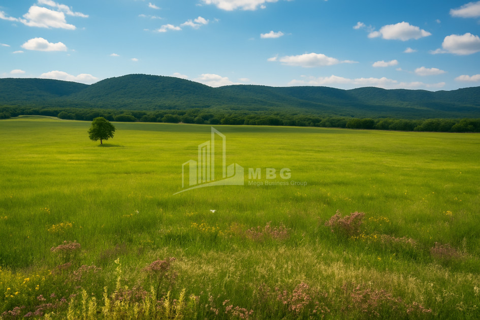 Продается Земля Гомбори Сагареджо Кахети
