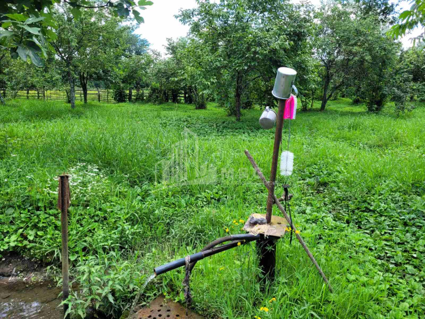 For Sale Land Chibati village Lanchkhuti Municipalities of Guria