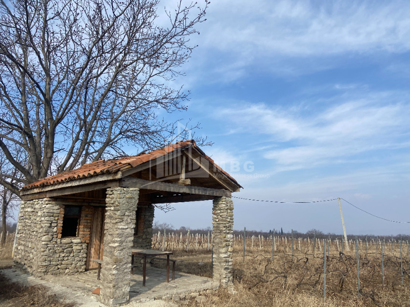 For Sale Land Tsinandali Telavi Kakheti
