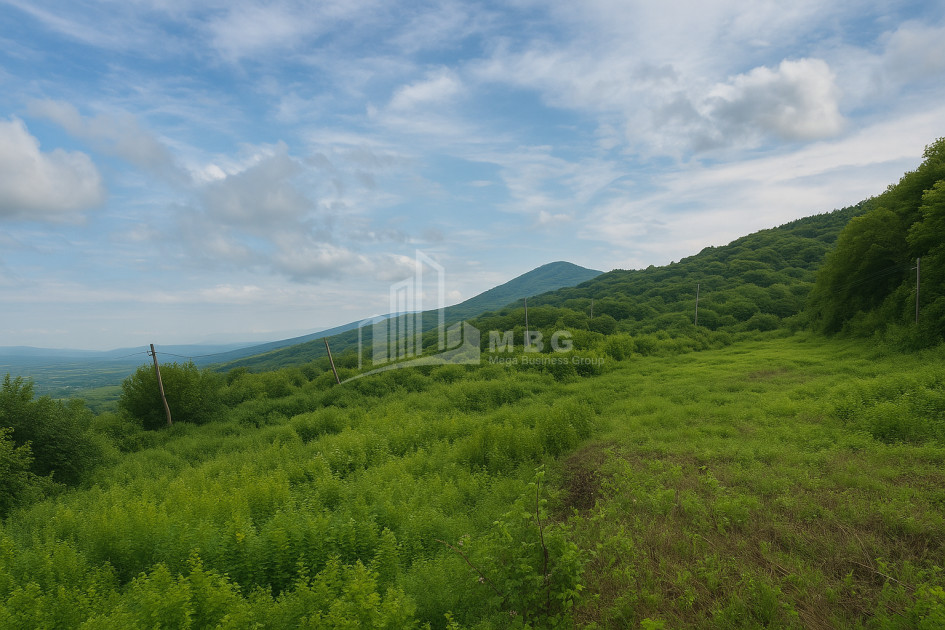 იყიდება მიწის ნაკვეთი სიღნაღი კახეთი