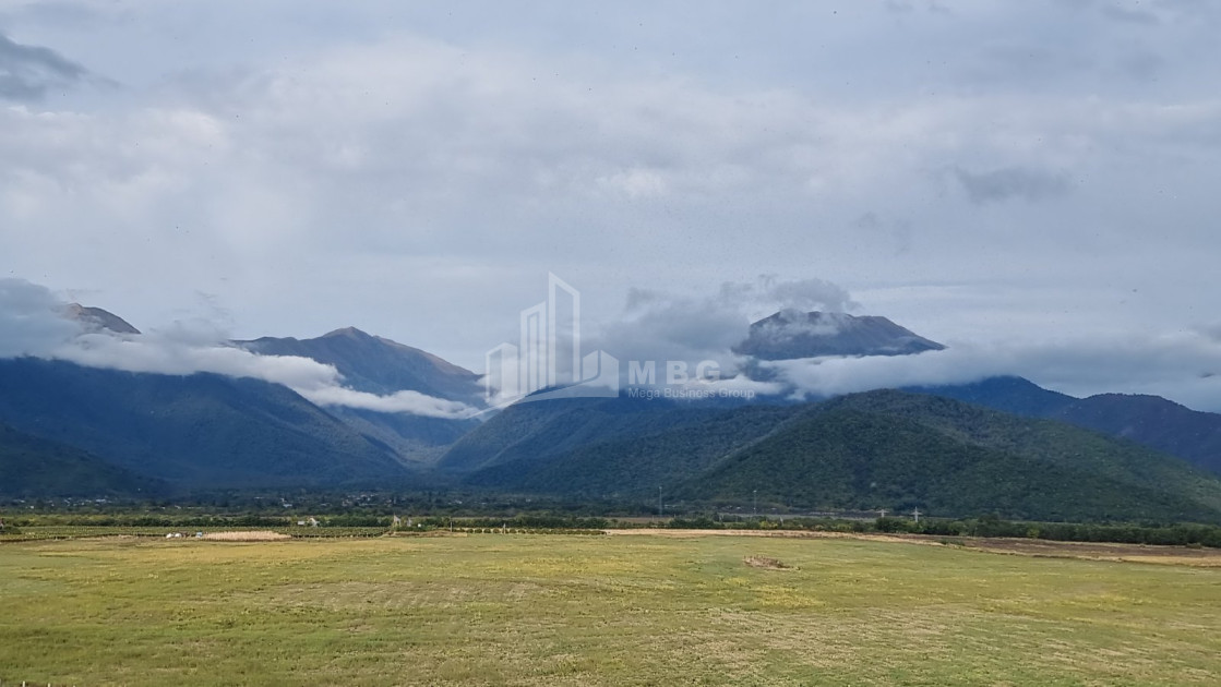 For Sale Land Eniseli Kvareli Kakheti