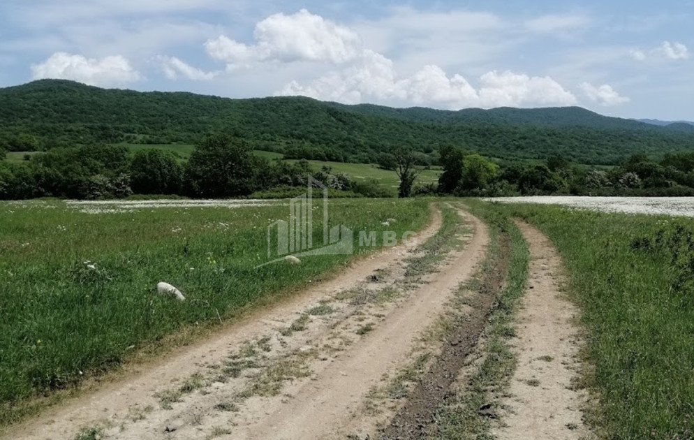 Продается Земля Гомбори Сагареджо Кахети