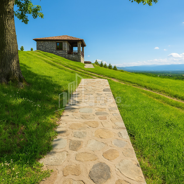 For Sale Commercial Atskuri Akhmeta Kakheti