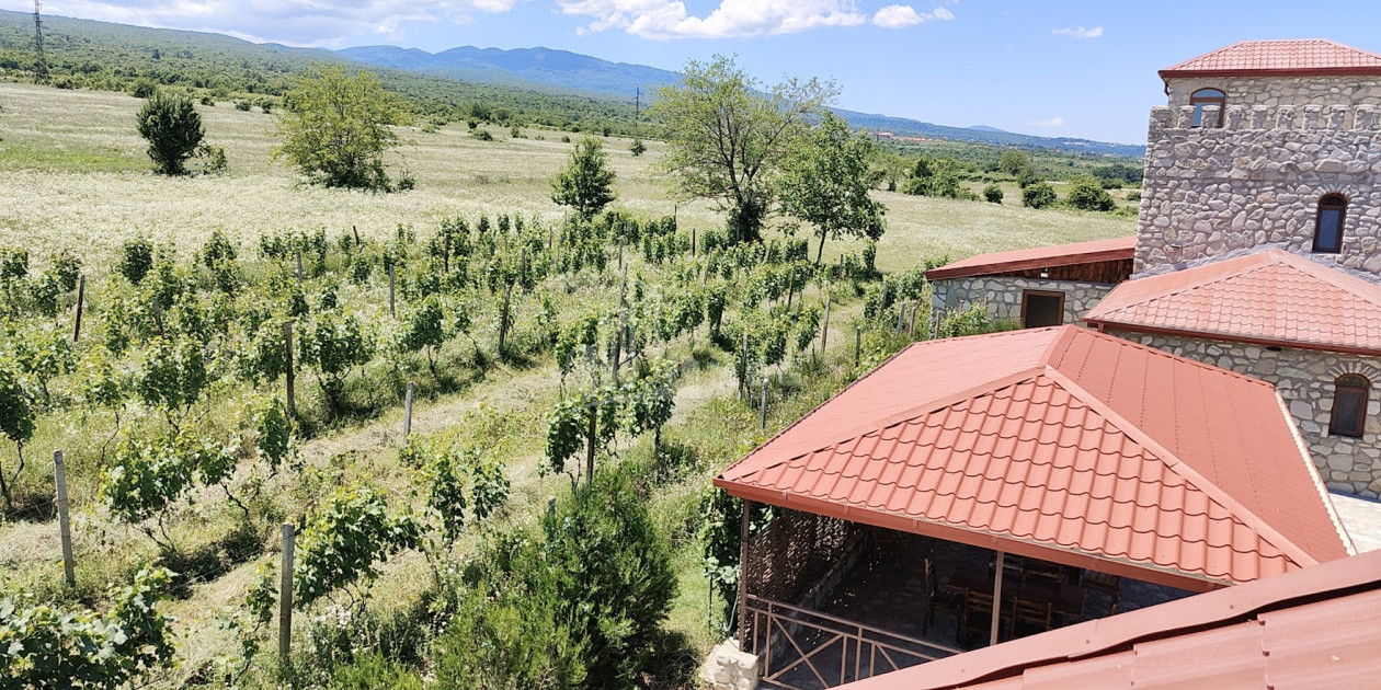 Продается Коммерческий Телави Кахети