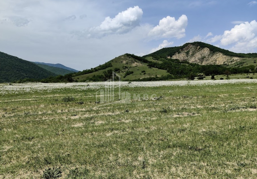 Продается Земля Гомбори Сагареджо Кахети
