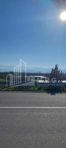 For Sale Land Kutaisi Imereti