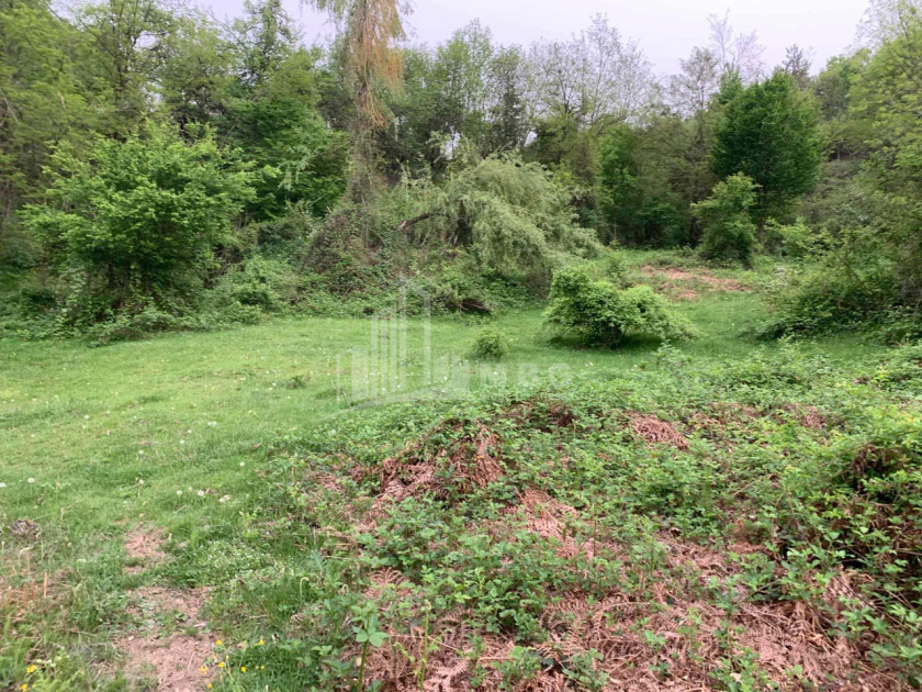 Продается Земля Иста Амбролаури Рача   Лечхуми Квемо Сванети