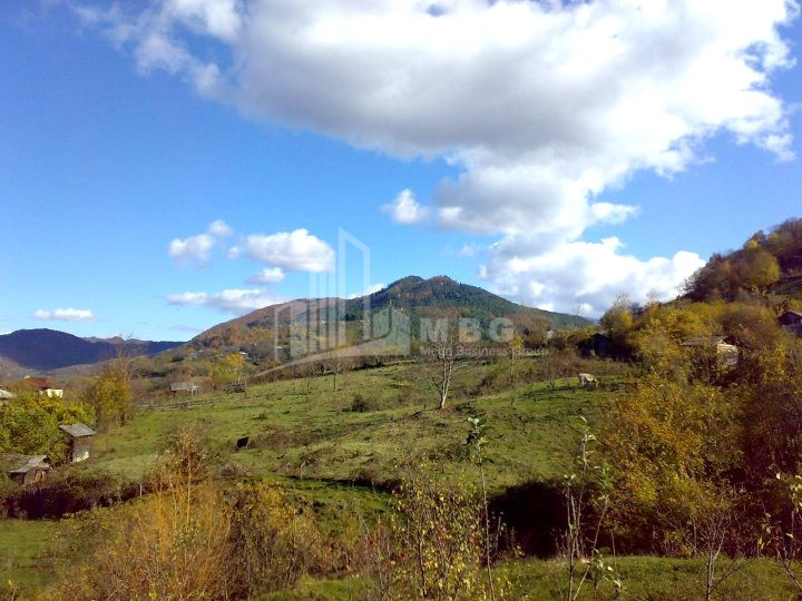 Продается Земля Иста Амбролаури Рача   Лечхуми Квемо Сванети