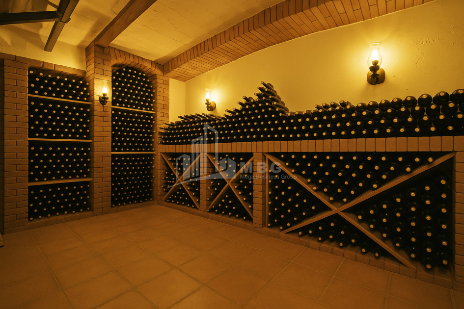 Продается Коммерческий Хашми Сагареджо Кахети