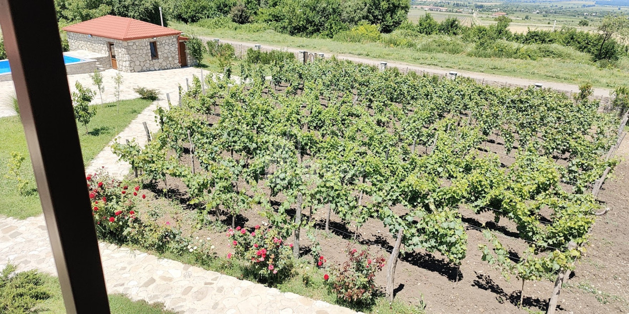 Продается Коммерческий Телави Кахети