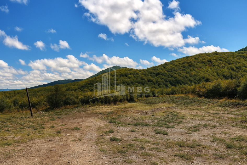 იყიდება მიწის ნაკვეთი სიღნაღი კახეთი