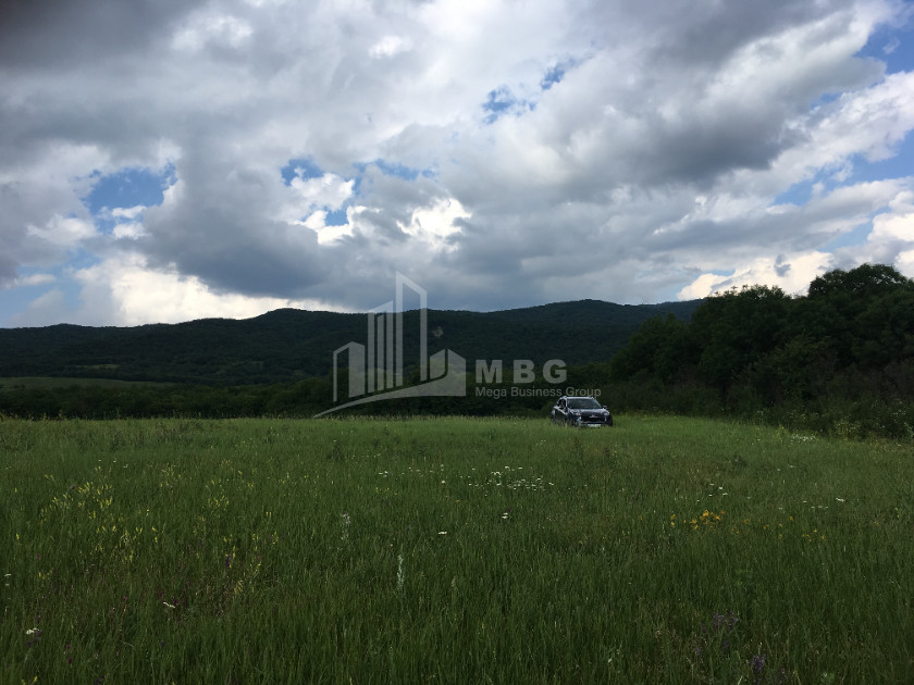 Продается Земля Гомбори Сагареджо Кахети