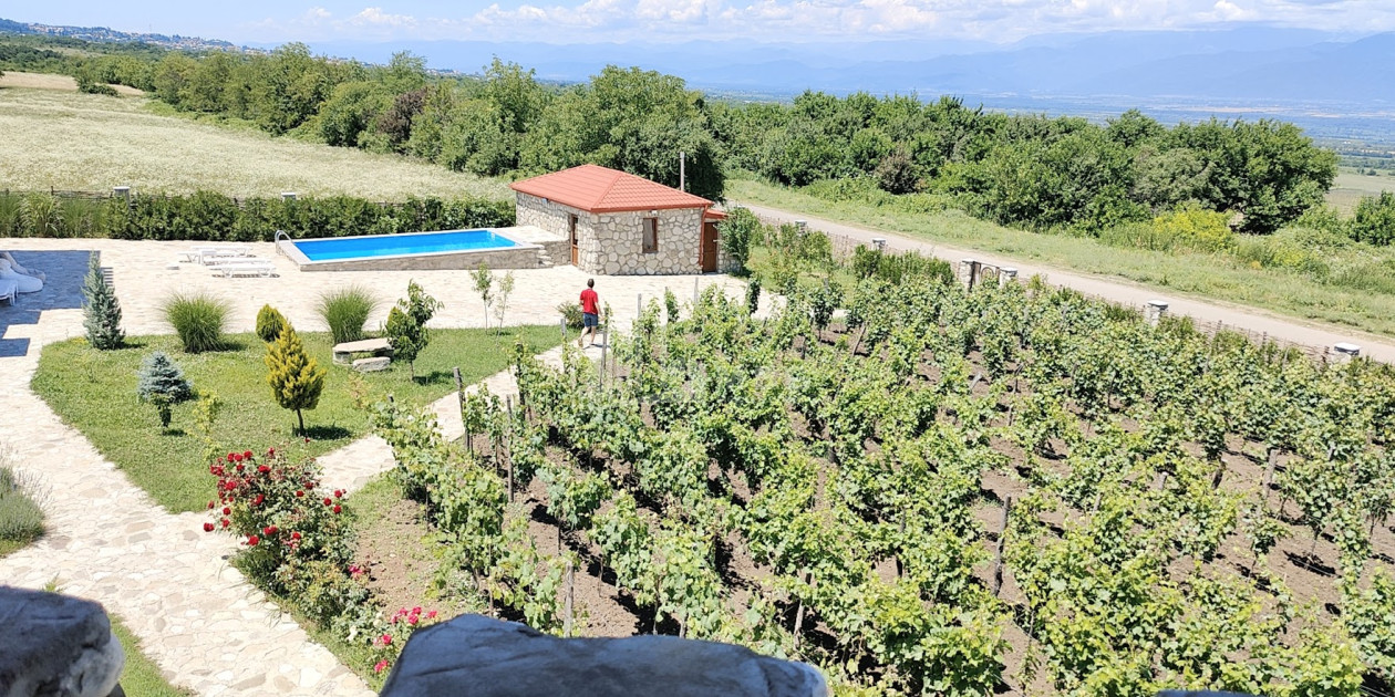 Продается Коммерческий Телави Кахети