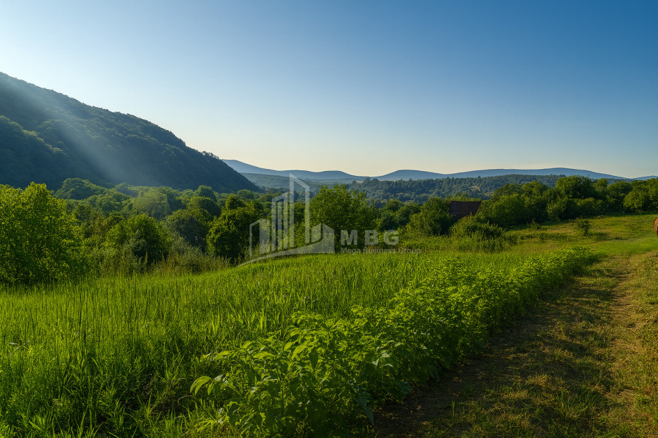 იყიდება მიწის ნაკვეთი ორხევი თიანეთი მცხეთა   მთიანეთი