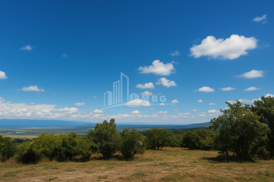 იყიდება მიწის ნაკვეთი სიღნაღი კახეთი