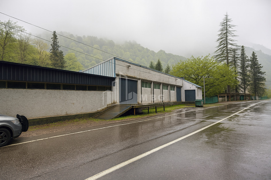 For Sale Commercial Nabeghlavi Chokhatauri Municipalities of Guria