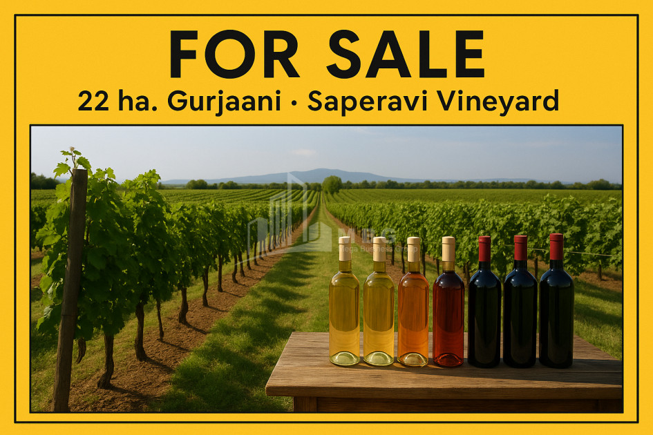 For Sale Land Zegaani Gurjaani Kakheti