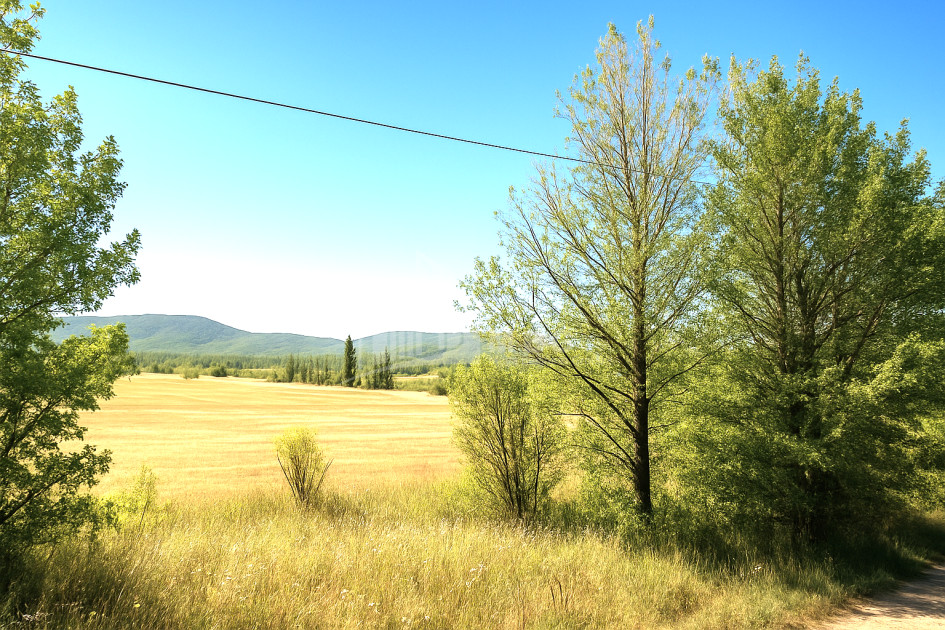 Продается Земля Трани Тианети Мцхета   Мтианети