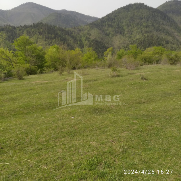 იყიდება მიწის ნაკვეთი მზეთამზე ბორჯომი სამცხე   ჯავახეთი