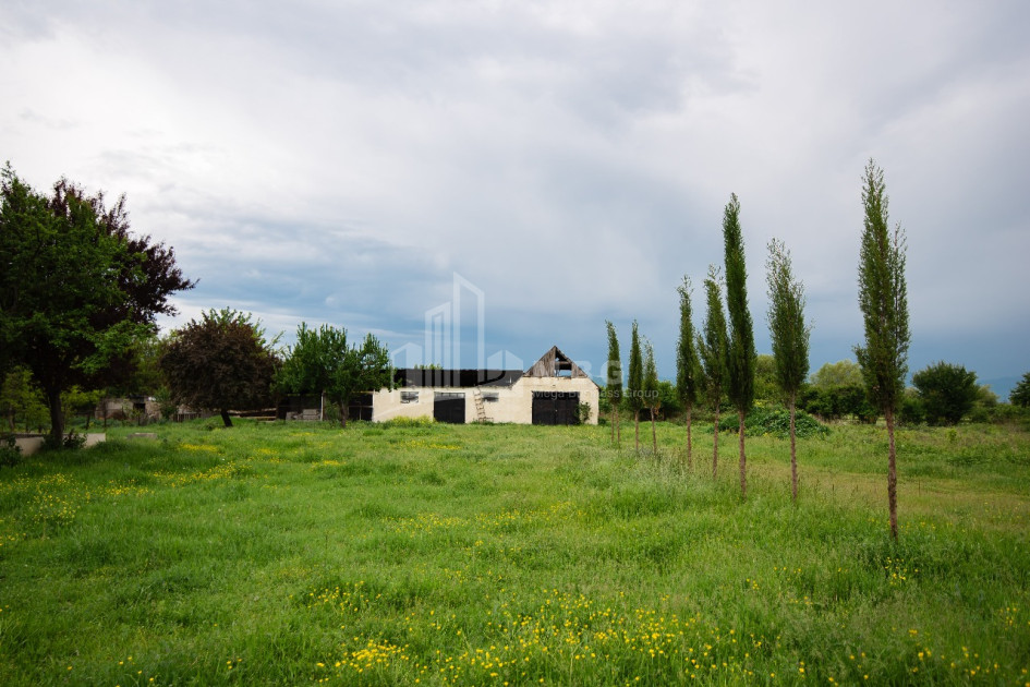 Продается Земля Цилкани Мцхета Мцхета   Мтианети