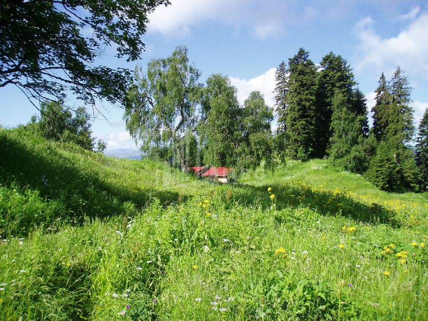 Продается Земля Абастумани Адигени Самцхе   Джавахети