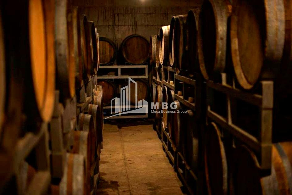 For Sale Commercial Shilda Kvareli Kakheti