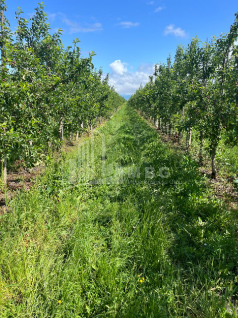 For Sale Land Gori Shida Kartli