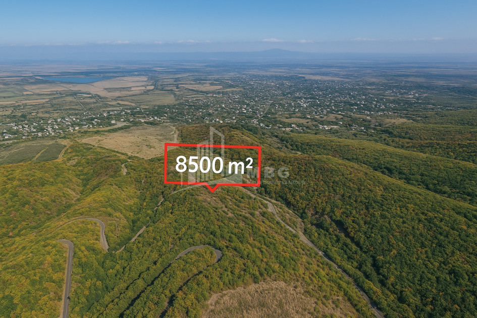 იყიდება მიწის ნაკვეთი სიღნაღი კახეთი