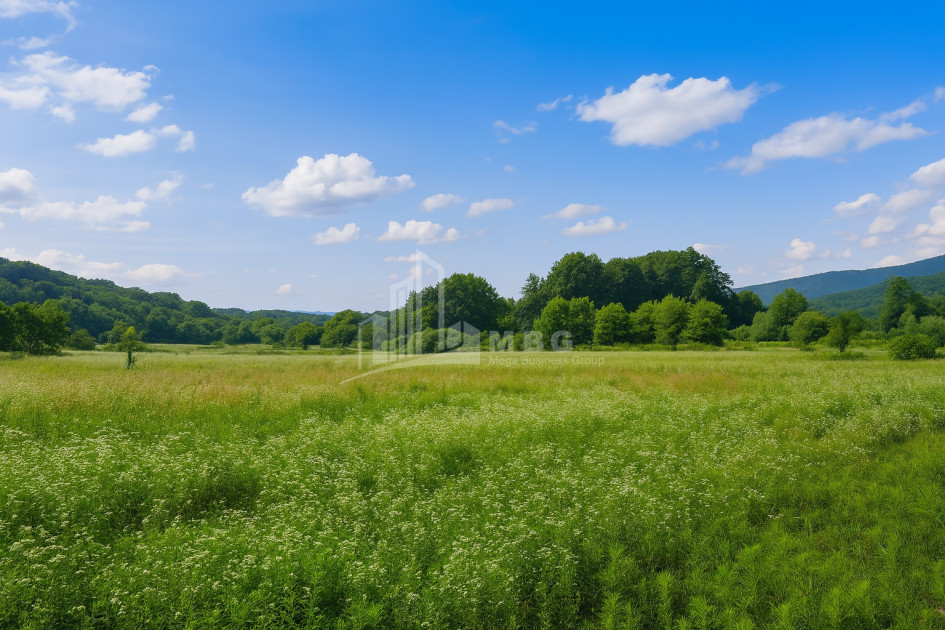 Продается Земля Кварели Кахети