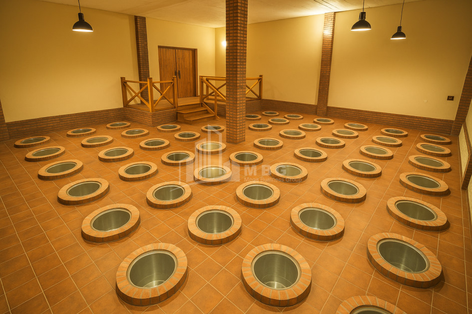 Продается Коммерческий Хашми Сагареджо Кахети