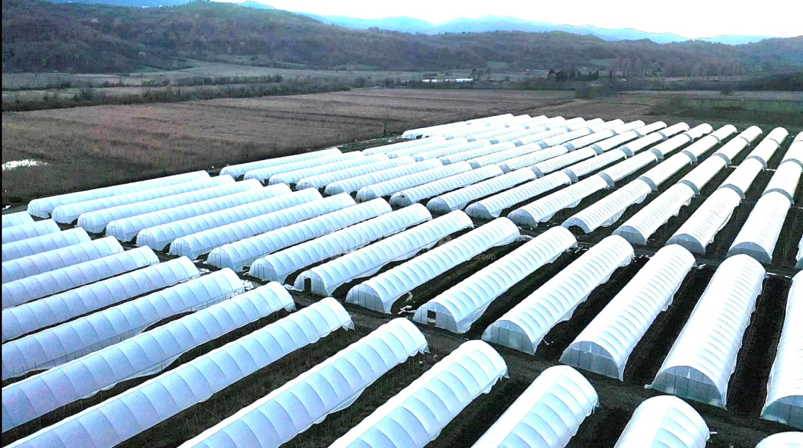 იყიდება მიწის ნაკვეთი ვანი იმერეთი