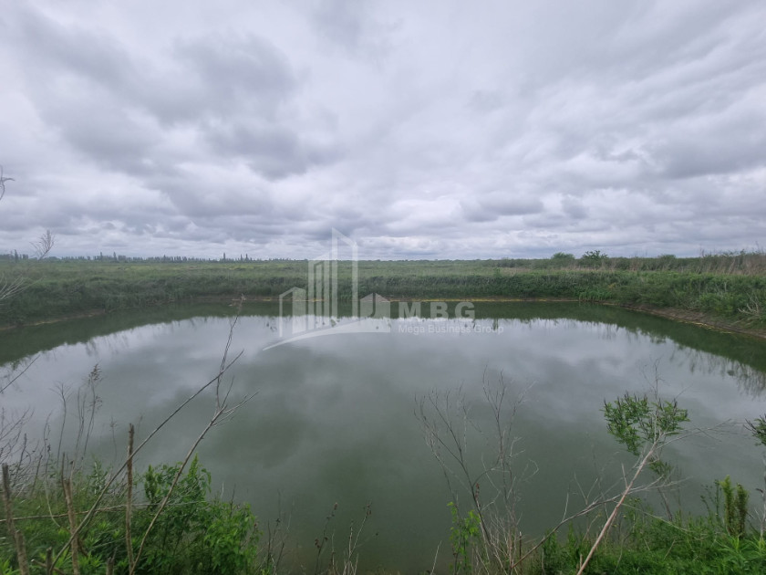 იყიდება მიწის ნაკვეთი სენაკი სამეგრელო   ზემო სვანეთი