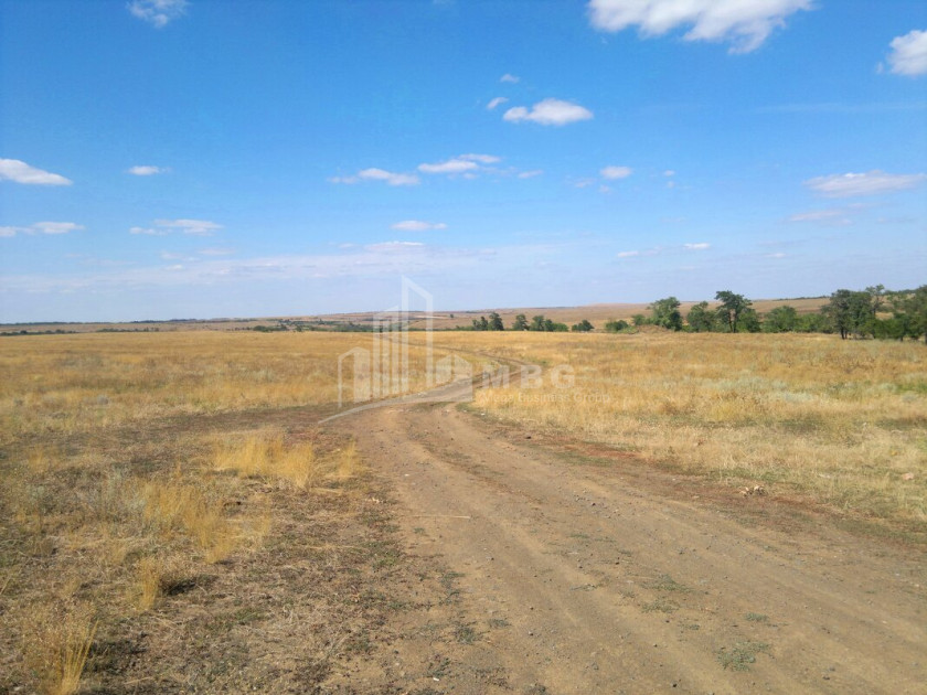 For Sale Land Kavtiskhevi Kaspi Shida Kartli