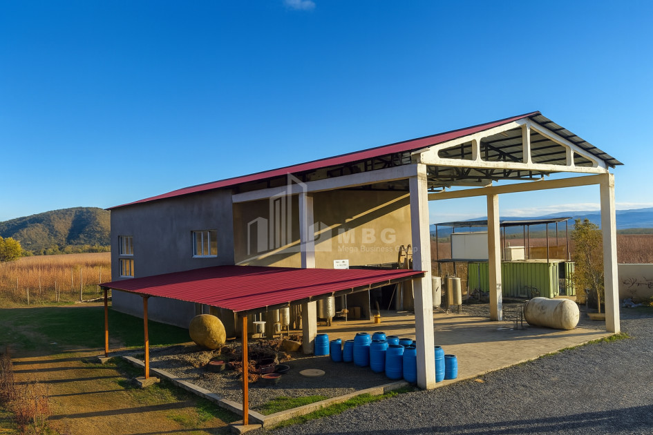 For Sale Commercial Shilda Kvareli Kakheti