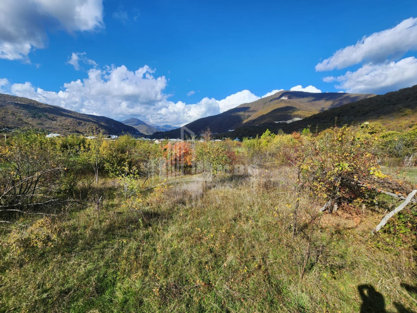 Продается Земля Деревня Чинти Душети Мцхета   Мтианети