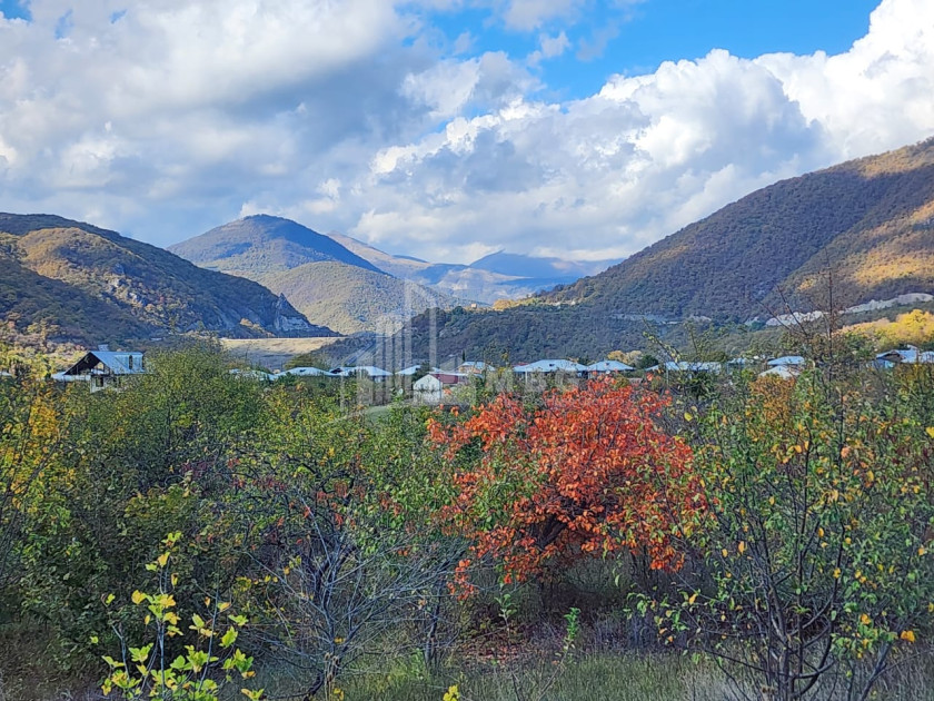Продается Земля Деревня Чинти Душети Мцхета   Мтианети