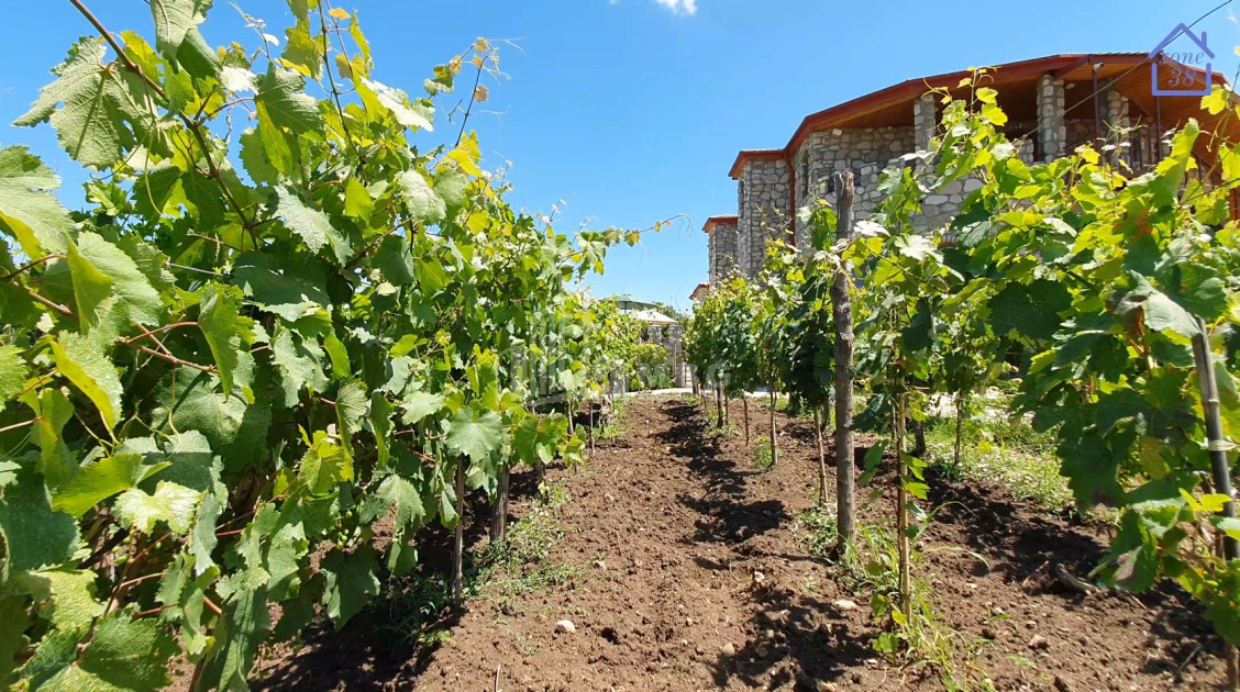 Продается Коммерческий Телави Кахети