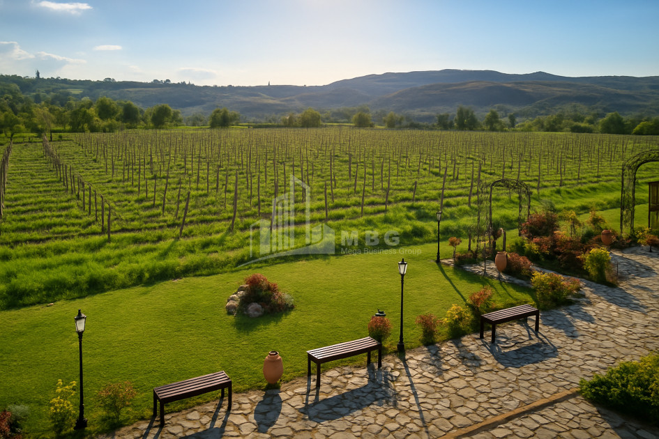 Продается Коммерческий Хашми Сагареджо Кахети