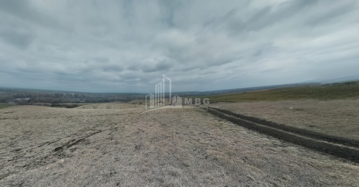 Продается Земля Квемо Бодбе Сигнаgи Кахети