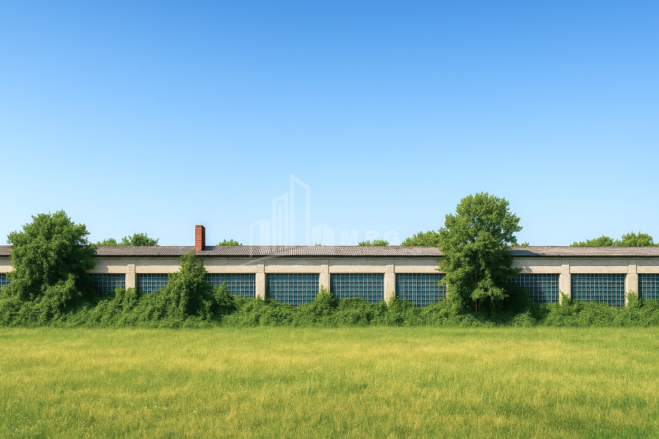 იყიდება მიწის ნაკვეთი ბულაჩაური დუშეთი მცხეთა   მთიანეთი