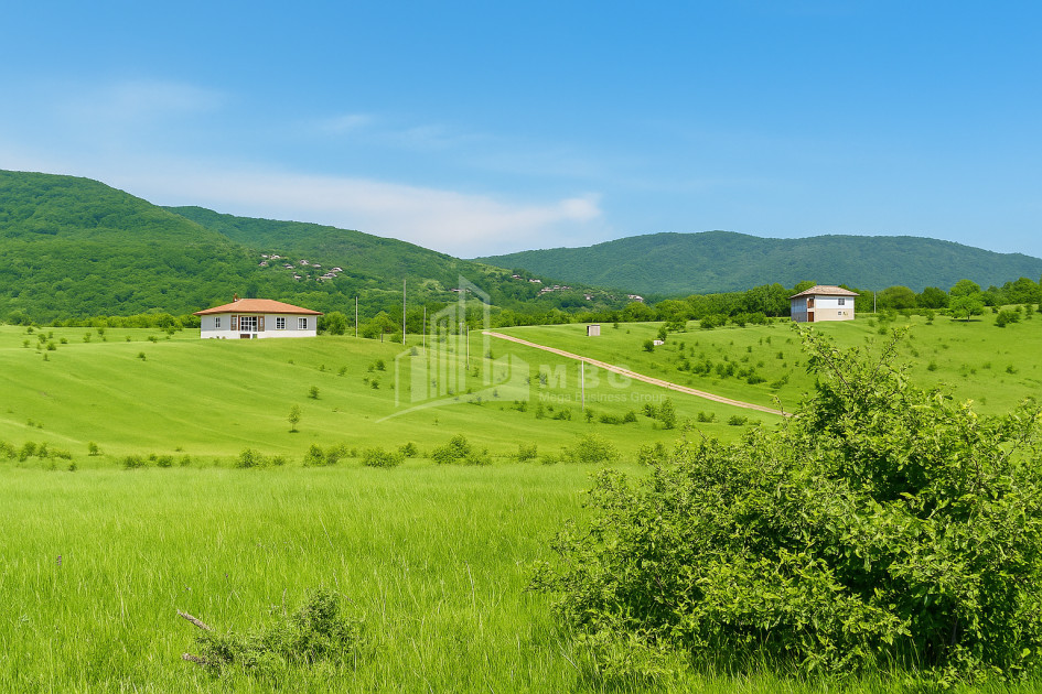 For Sale Land Akhatani Dusheti Mtskheta   Mtianeti